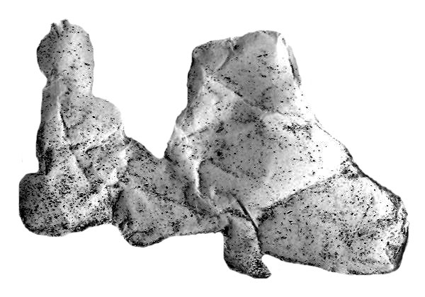 op0145.jpg (51904 bytes)