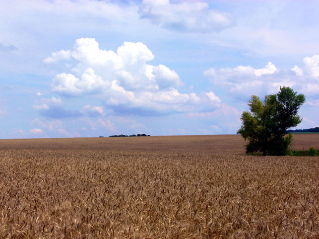 osm1758.jpg (74074 bytes)